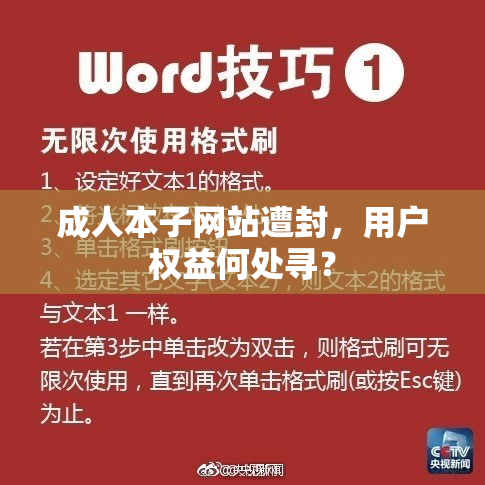 成人本子网站遭封，用户权益何处寻？