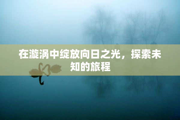 在漩涡中绽放向日之光，探索未知的旅程