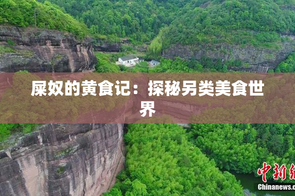屎奴的黄食记：探秘另类美食世界