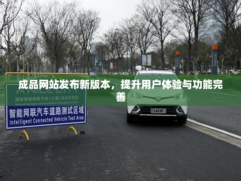 成品网站发布新版本，提升用户体验与功能完善