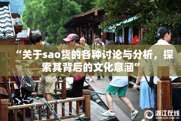 “关于sao货的各种讨论与分析，探索其背后的文化意涵”