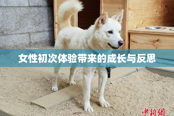 女性初次体验带来的成长与反思