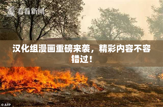 汉化组漫画重磅来袭，精彩内容不容错过！