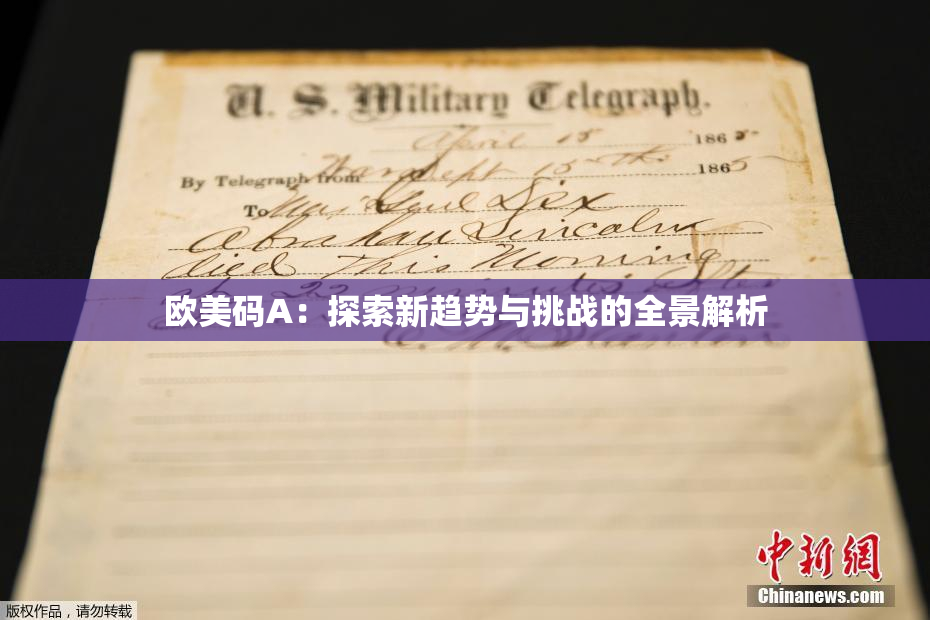 欧美码A：探索新趋势与挑战的全景解析