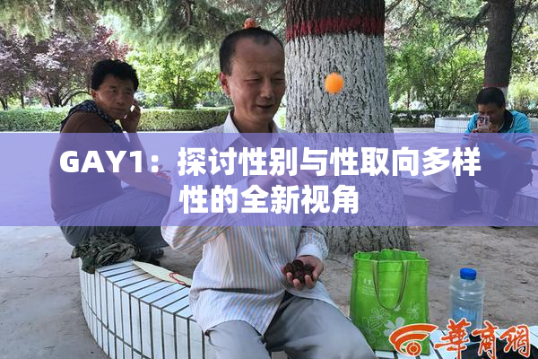 GAY1：探讨性别与性取向多样性的全新视角