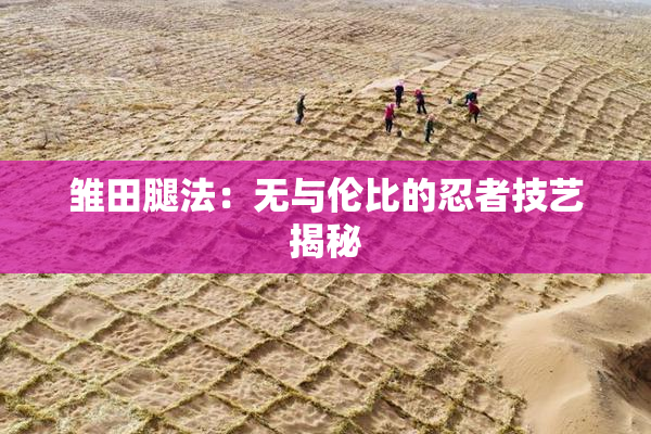 雏田腿法：无与伦比的忍者技艺揭秘