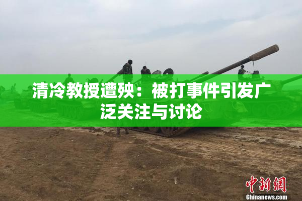 清冷教授遭殃：被打事件引发广泛关注与讨论