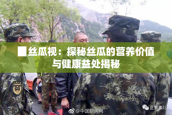 ▉丝瓜视：探秘丝瓜的营养价值与健康益处揭秘