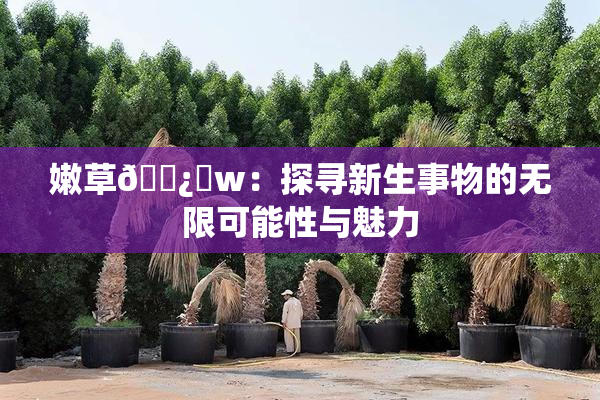 嫩草🌿‌w：探寻新生事物的无限可能性与魅力