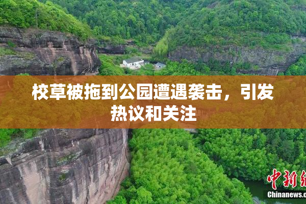 校草被拖到公园遭遇袭击，引发热议和关注