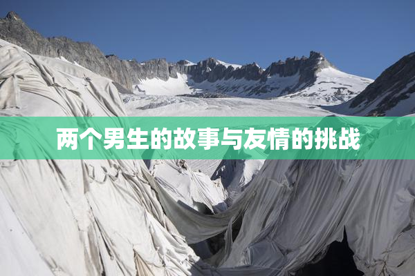 两个男生的故事与友情的挑战