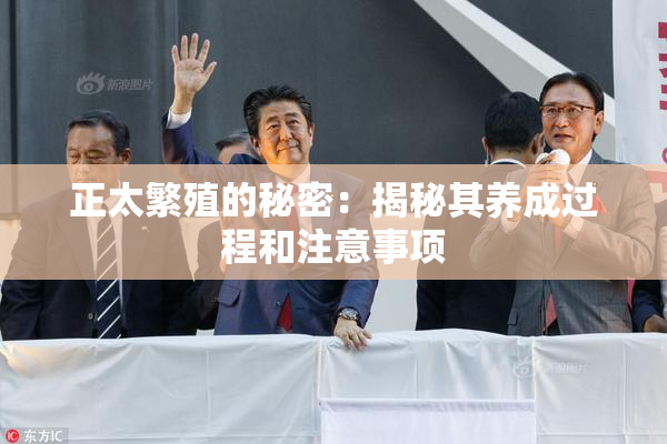 正太繁殖的秘密：揭秘其养成过程和注意事项