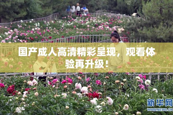 国产成人高清精彩呈现，观看体验再升级！