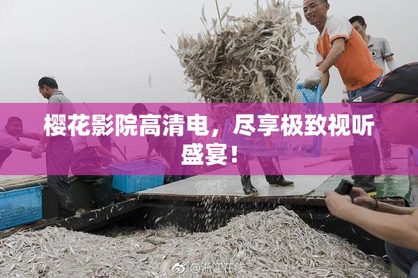 樱花影院高清电，尽享极致视听盛宴！
