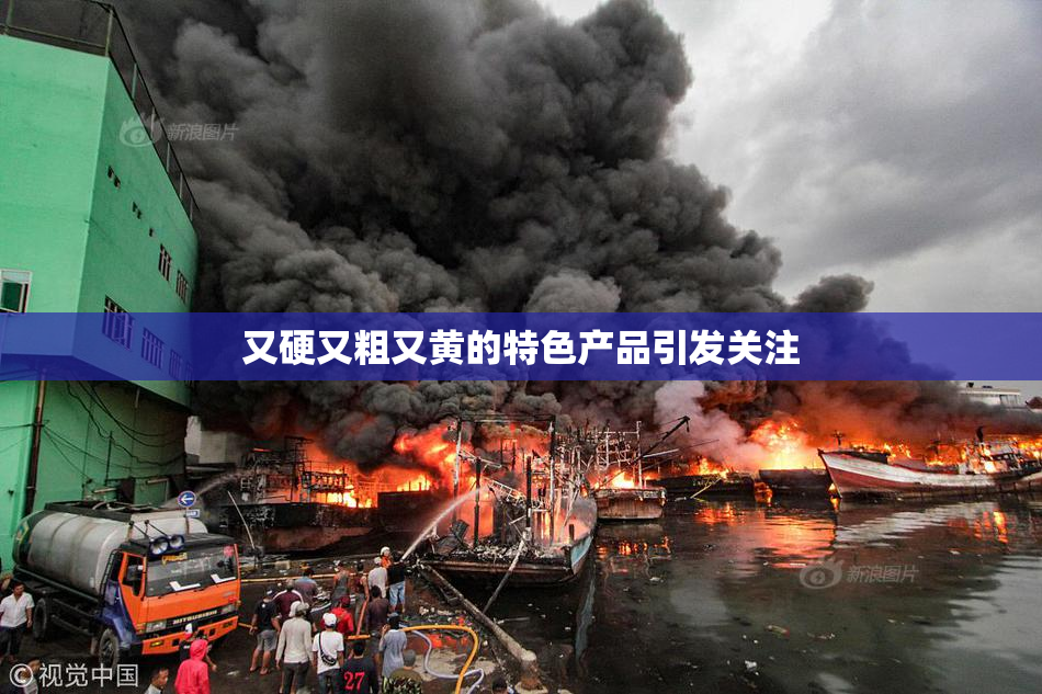 又硬又粗又黄的特色产品引发关注