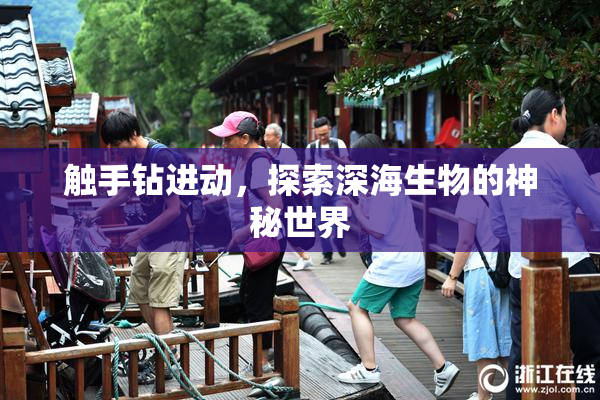 触手钻进动，探索深海生物的神秘世界