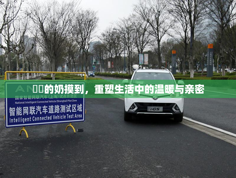 妺妺的奶摸到，重塑生活中的温暖与亲密