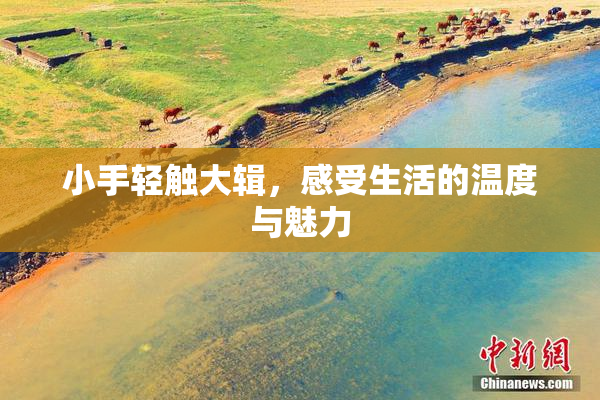 小手轻触大辑，感受生活的温度与魅力