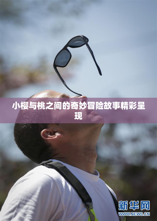 小樱与桃之间的奇妙冒险故事精彩呈现