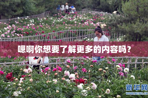 嗯啊你想要了解更多的内容吗？