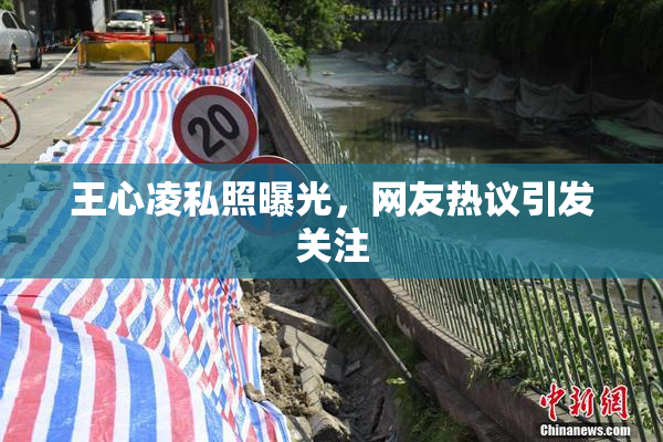 王心凌私照曝光，网友热议引发关注