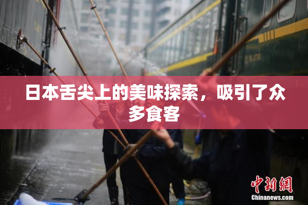 日本舌尖上的美味探索，吸引了众多食客