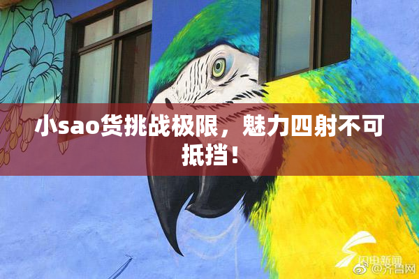 小sao货挑战极限，魅力四射不可抵挡！