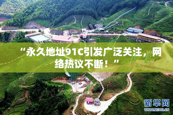 “永久地址91C引发广泛关注，网络热议不断！”