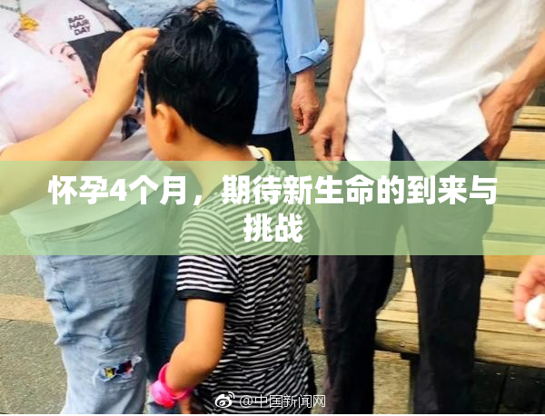 怀孕4个月，期待新生命的到来与挑战
