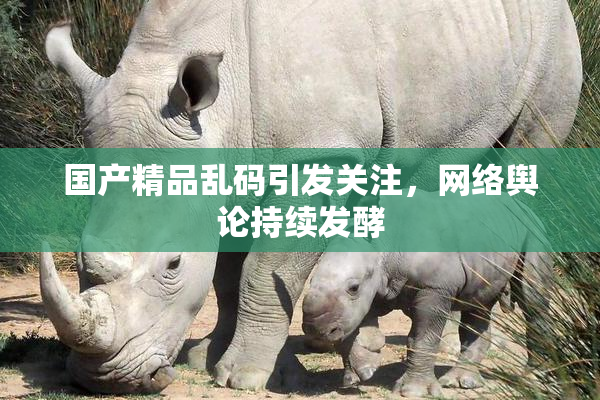 国产精品乱码引发关注，网络舆论持续发酵