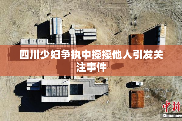 四川少妇争执中搡搡他人引发关注事件