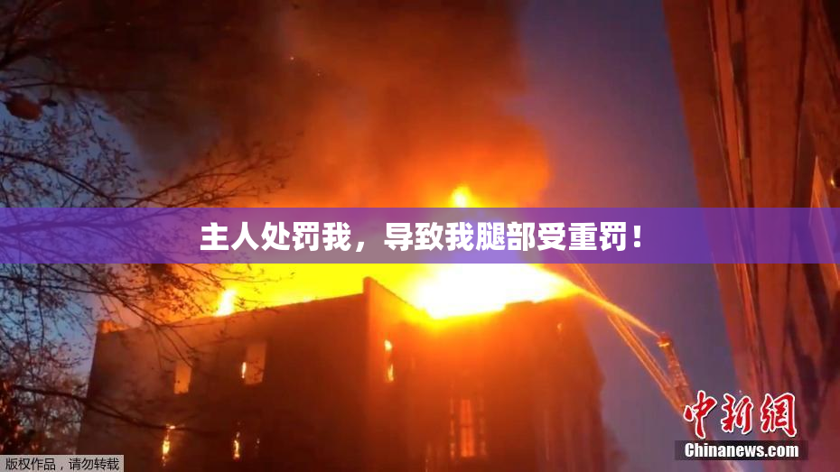主人处罚我，导致我腿部受重罚！