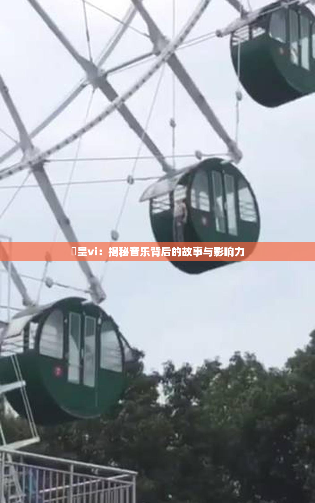 嘼皇vi：揭秘音乐背后的故事与影响力