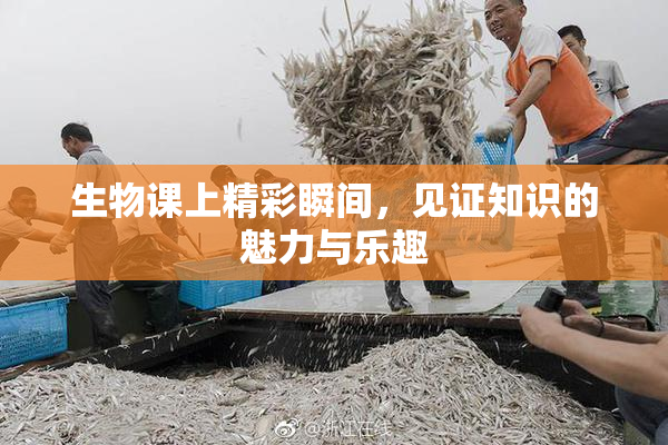 生物课上精彩瞬间，见证知识的魅力与乐趣