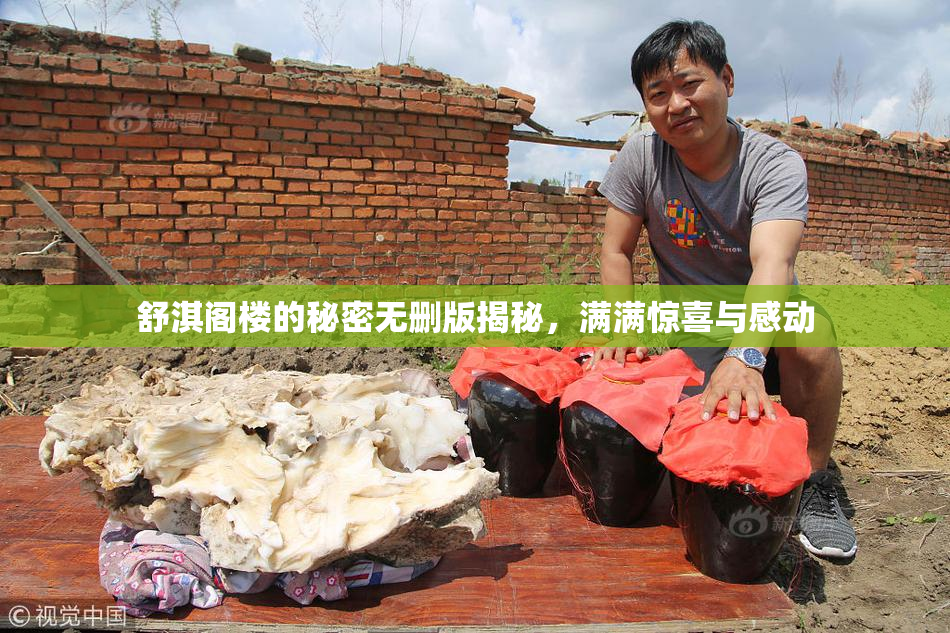 舒淇阁楼的秘密无删版揭秘，满满惊喜与感动
