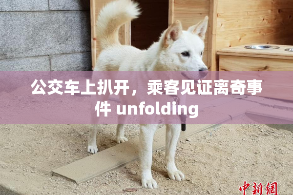 公交车上扒开，乘客见证离奇事件 unfolding