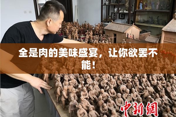 全是肉的美味盛宴，让你欲罢不能！
