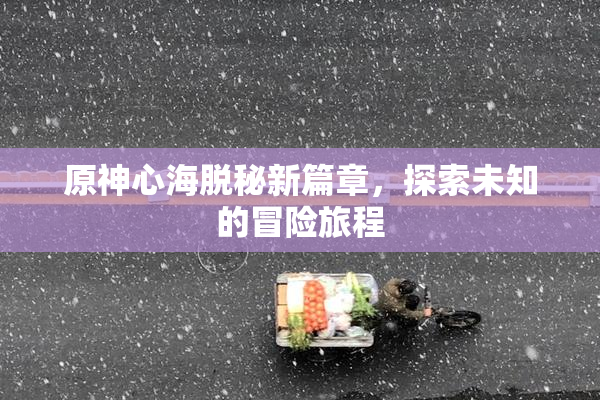 原神心海脱秘新篇章，探索未知的冒险旅程