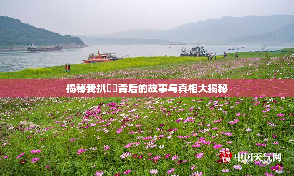 揭秘我扒妺妺背后的故事与真相大揭秘