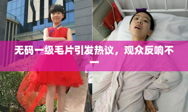 无码一级毛片引发热议，观众反响不一