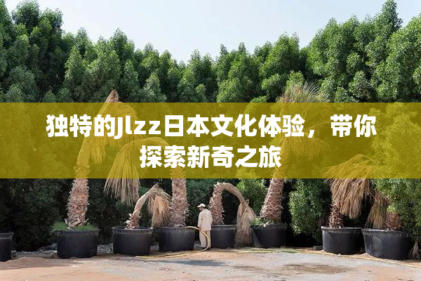 独特的Jlzz日本文化体验，带你探索新奇之旅