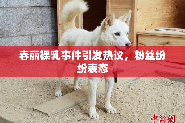 春丽裸乳事件引发热议，粉丝纷纷表态