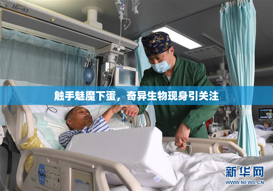 触手魅魔下蛋，奇异生物现身引关注