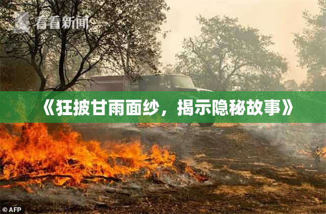 《狂披甘雨面纱，揭示隐秘故事》