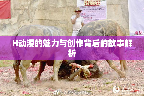 H动漫的魅力与创作背后的故事解析