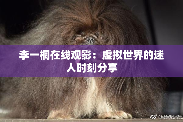 李一桐在线观影：虚拟世界的迷人时刻分享