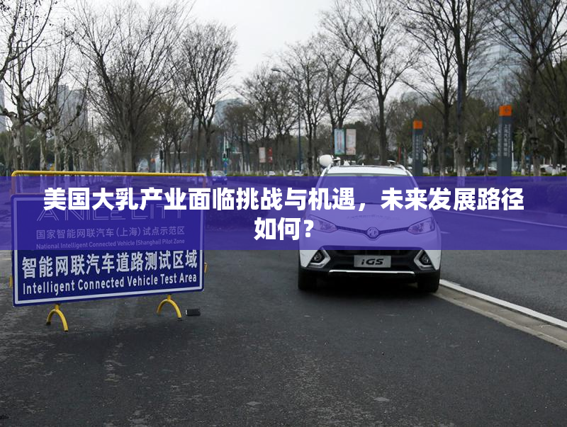 美国大乳产业面临挑战与机遇，未来发展路径如何？