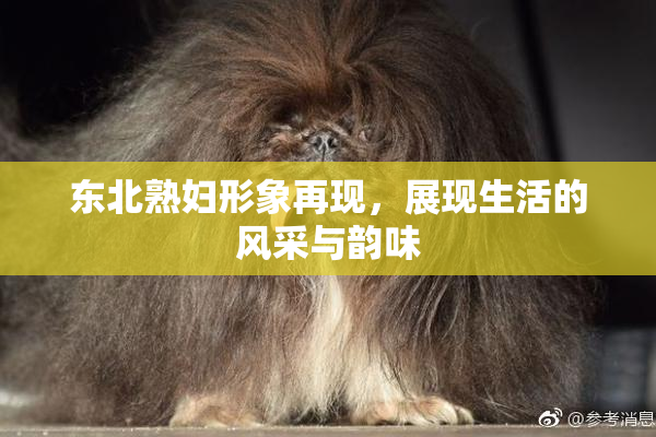 东北熟妇形象再现，展现生活的风采与韵味