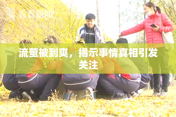 流萤被到爽，揭示事情真相引发关注