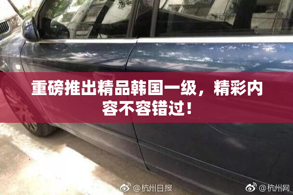 重磅推出精品韩国一级，精彩内容不容错过！